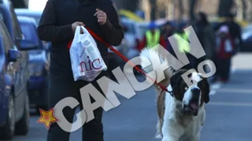 Marius Vintila are o relatie aparte cu dulaul sau!