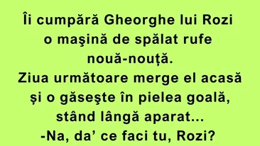 BANC | Cum folosește Rozi a lui Gheorghe mașina de spălat