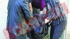 Isi agresa si copilul