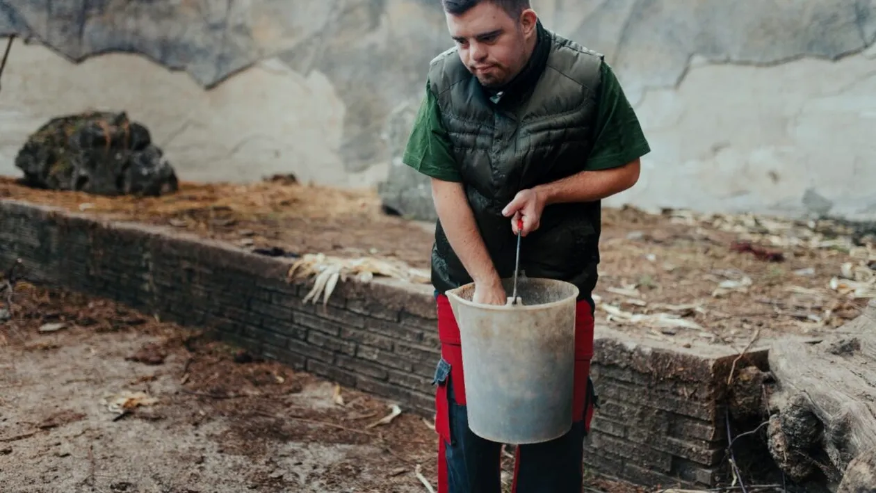 Un român plecat la muncă în străinătate se revoltă: „Suntem sclavii Europei!”