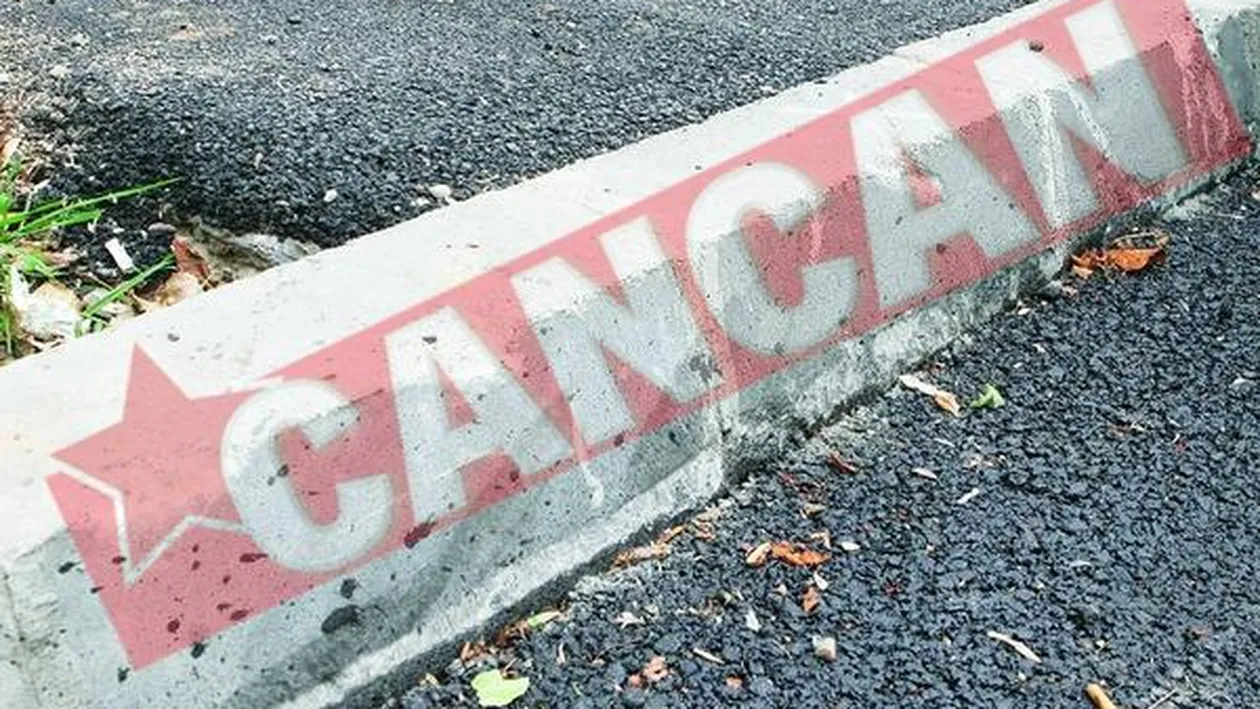 Bordurile lui Videanu au crapat dupa cateva saptamani