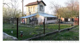 Galerie foto - poza 1