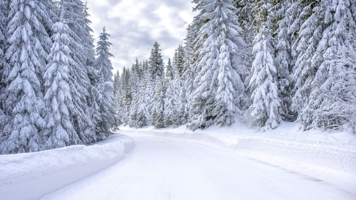 Cod galben de ger în România! Zonele în care ciclonul aduce ninsori, viscol și temperaturi de -20 de grade Celsius de azi