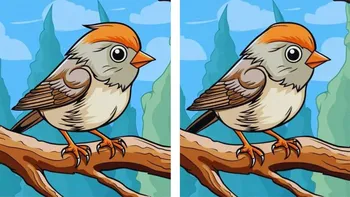TEST IQ | Aceste două vrăbiuțe par identice, dar nu sunt. Identificați toate cele 3 diferențe!
