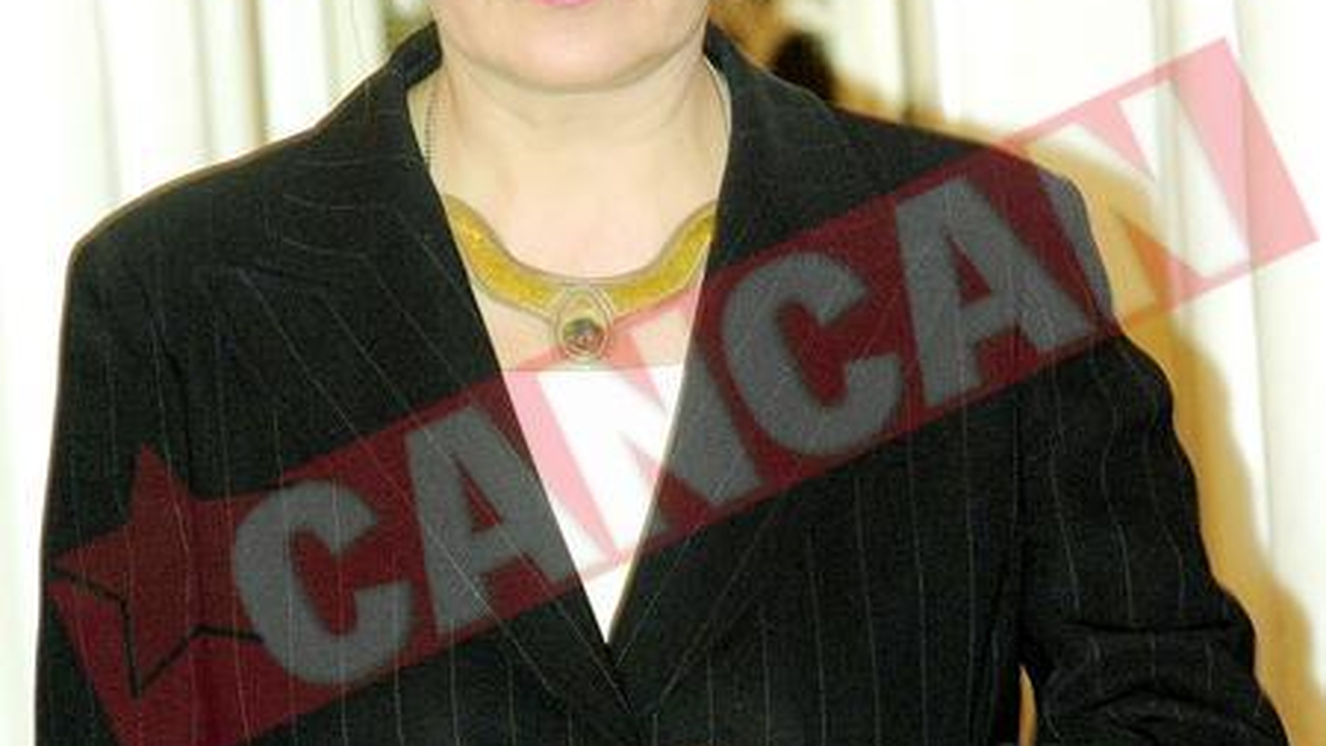 Democrat-liberalii vor sa-i puna catuse Monicai Macovei