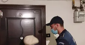 Galerie foto - poza 3