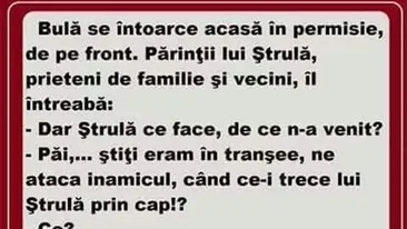 BANC | Bulă se întoarce acasă în permisie, de pe front