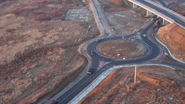 Au intrat cu buldozerul peste plantatie! Centura Caransebeşului a distrus culturile de cannabis!