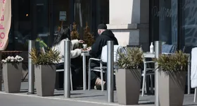 Galerie foto - poza 4