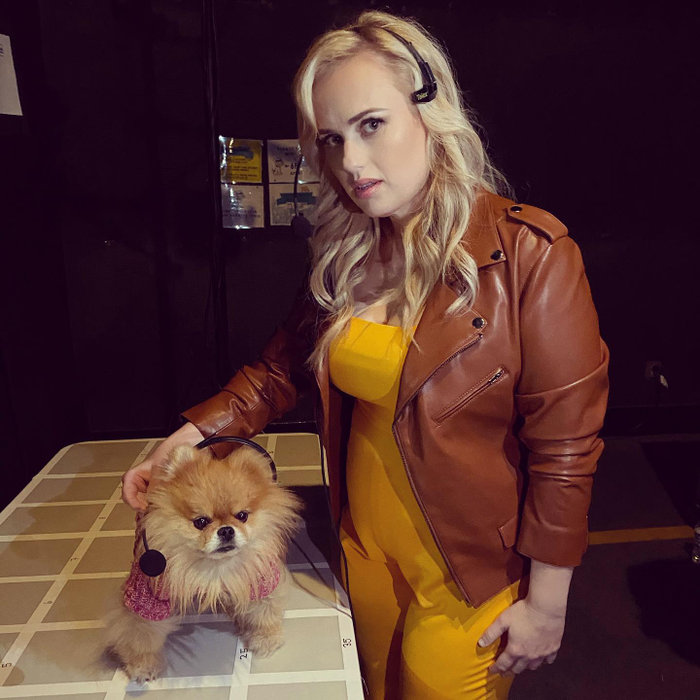Motivul dureros al despărțirii dintre Rebel Wilson și Jacob Busch: “Nu a existat niciun incident”. Apropiații fostului cuplu au dat tot “din casă”