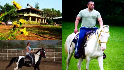 Cu ce își ocupă timpul Iulia Vântur în reședința de lux a lui Salman Khan din mijlocul junglei