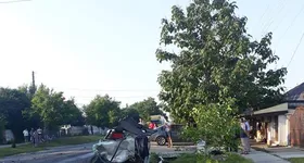 Galerie foto - poza 1