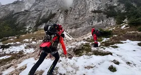 Galerie foto - poza 2