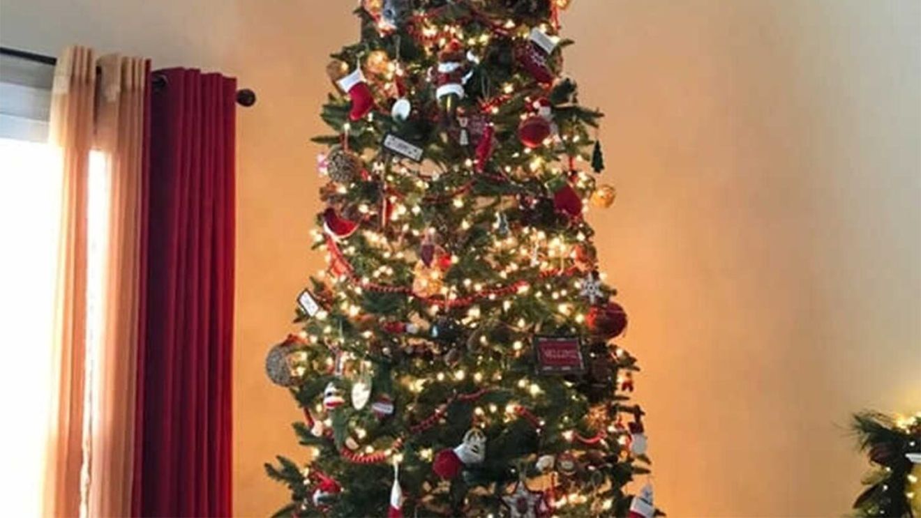 Iluzie optică de Ajun | Găsiți pisica ascunsă în bradul de Crăciun din imagine