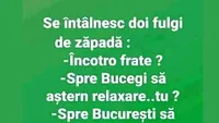 Bancul de vineri | Se întâlnesc doi fulgi de zăpadă: Încotro, frate?