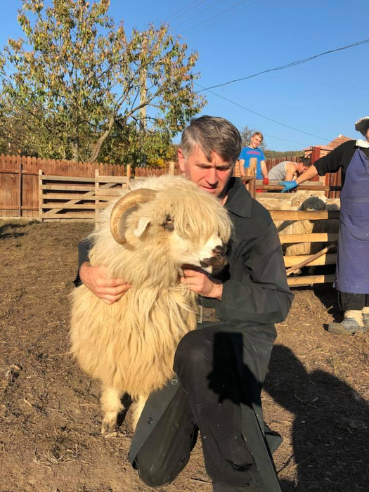 Incredibil cum şi-a numit Cristian Pomohaci oile! Răzvan Simion se va enerva