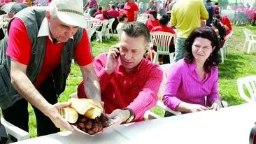 Micul si berea - agenti electorali