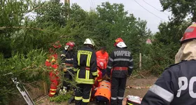 Galerie foto - poza 3