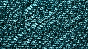 Test de inteligență | Doar 1 dintre 10.000 de oameni poate spune ce număr se ascunde în această imagine