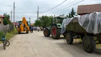 Măcel la Teasc, în Dolj. 200 de porci au fost uciși din cauza focarelor de pestă