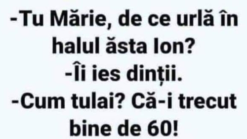 BANC | „Tu Mărie, de ce urlă, în halul ăsta, Ion?”