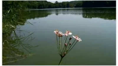 Locul din România care te face să uiți de Marea Neagră. Are apă sărată, proprietăți terapeutice și e mai ieftin ca stațiunile de pe litoral