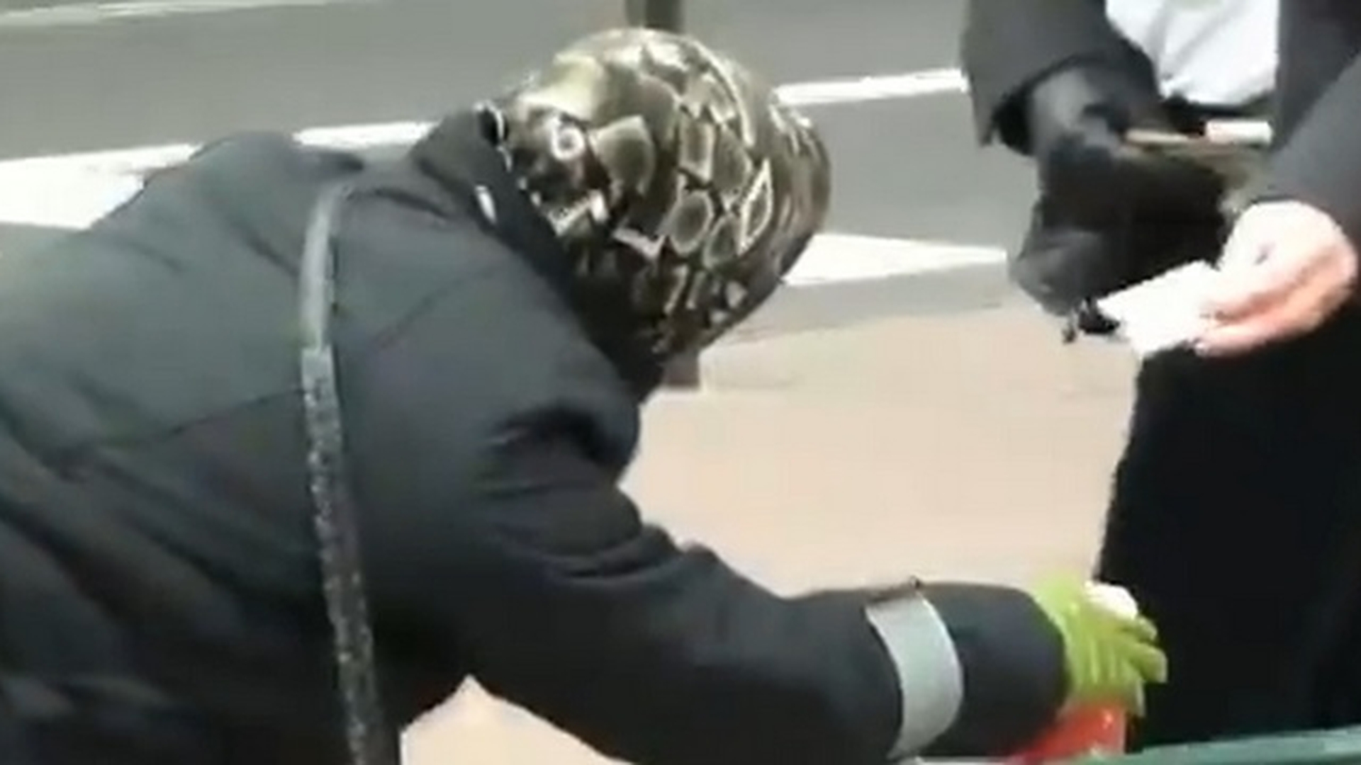 Si America are milogii ei! Ziua cerseste pe cele mai celebre bulevarde din lume, noaptea se distreaza ca un VIP!