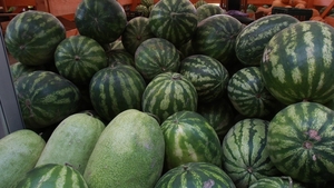 Se plang ca raman cu marfa in galantare dar... Cultivatorii de pepeni ar puteatransforma fructele nevandute in aur! Vezi cum