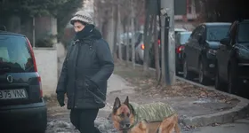 Galerie foto - poza 4