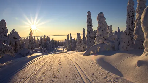 Vrei să mergi în vacanță în Laponia? Cât te costă un sejur de 4 zile în țara lui Moș Crăciun