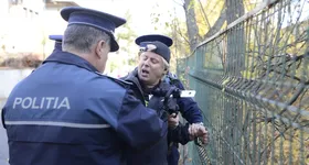 Galerie foto - poza 2