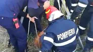 Imagini emoționante! Pompierii argeșeni au salvat o cățelușă căzută într-un puț