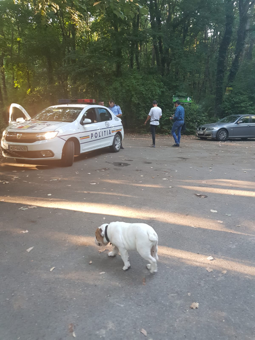EXCLUSIV. Un cântăreț cunoscut a fost jefuit într-o pădure de la marginea Bucureștiului. Primele declarații: “Am auzit un geam spart, am văzut hoțul…”
