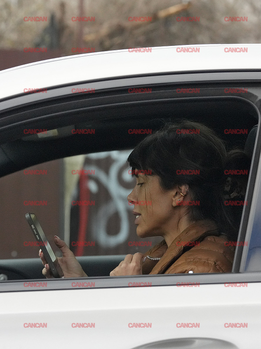 Denise Rifai vorbește cu cineva la telefon
