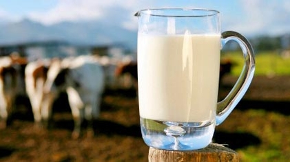 Alertă alimentară în România! Danone retrage de pe piaţă lactate posibil contaminate şi a blocat în depozit 75 tone de produse