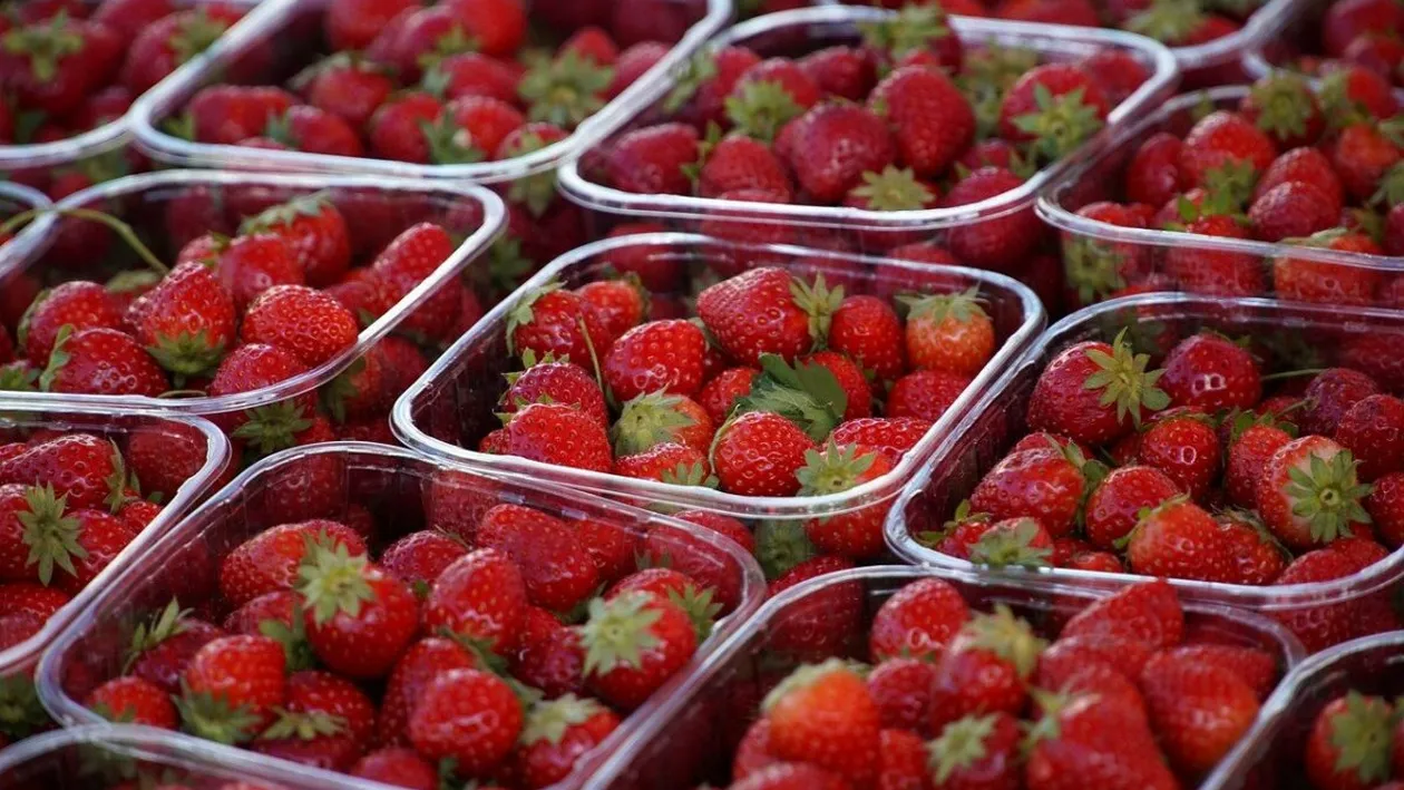 Cât a ajuns să coste un kilogram de căpșuni acum, în aprilie 2026? Există și variante mai ieftine
