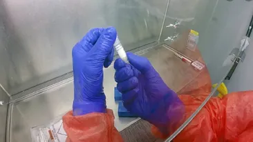 Serbia a închis toate punctele de trecere a frontiere dinspre România, ca măsură de prevenţie faţă de infecţia cu coronavirus