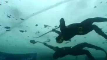 VIDEO Uite cum arata hockey-ul de partea celalata a ghetii! Cativa scafandrii se joaca sub apa!