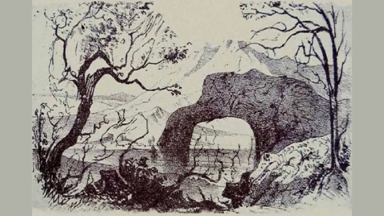 Iluzie optică virală | Câte animale se ascund, de fapt, în această fotografie? Doar un geniu le poate identifica pe toate