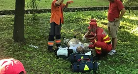 Galerie foto - poza 2