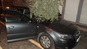 A ”zburat” bradul pe geam, de la etaj, fără să se gândească la consecinţe! Ce a urmat a devenit viral. A fost grav afectată