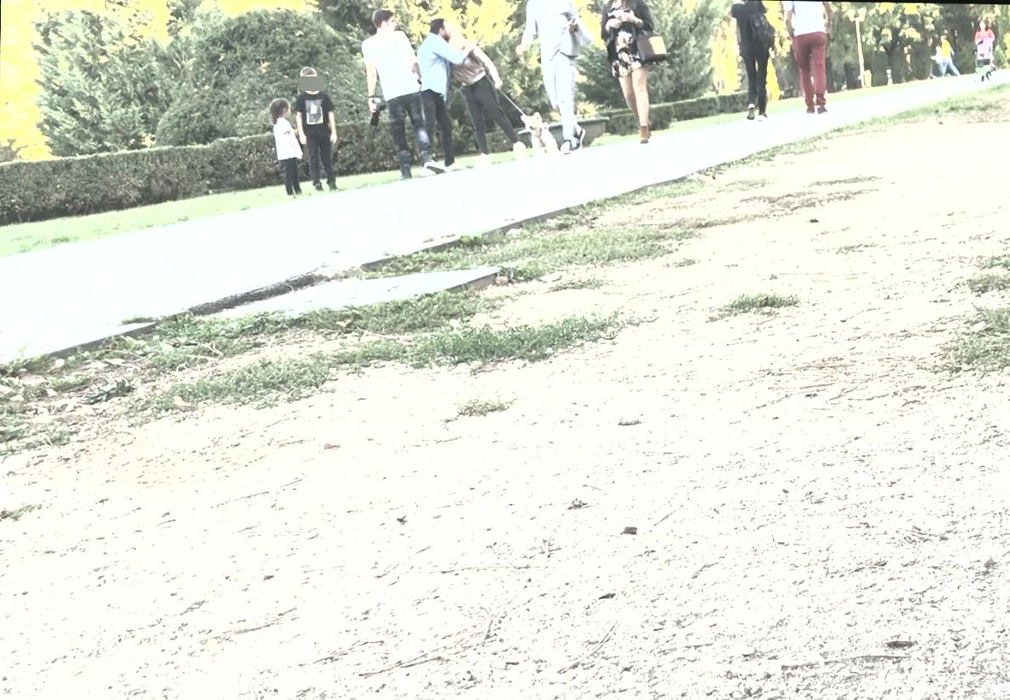S-a dus moda bonelor filipineze! Ultima fiță a lui Cătălin Măruță: plimbare prin parc cu familia plus fotograf personal