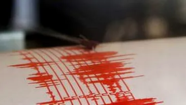 Un nou CUTREMUR in Vrancea! Seismul s-a produs in urma cu putin timp!