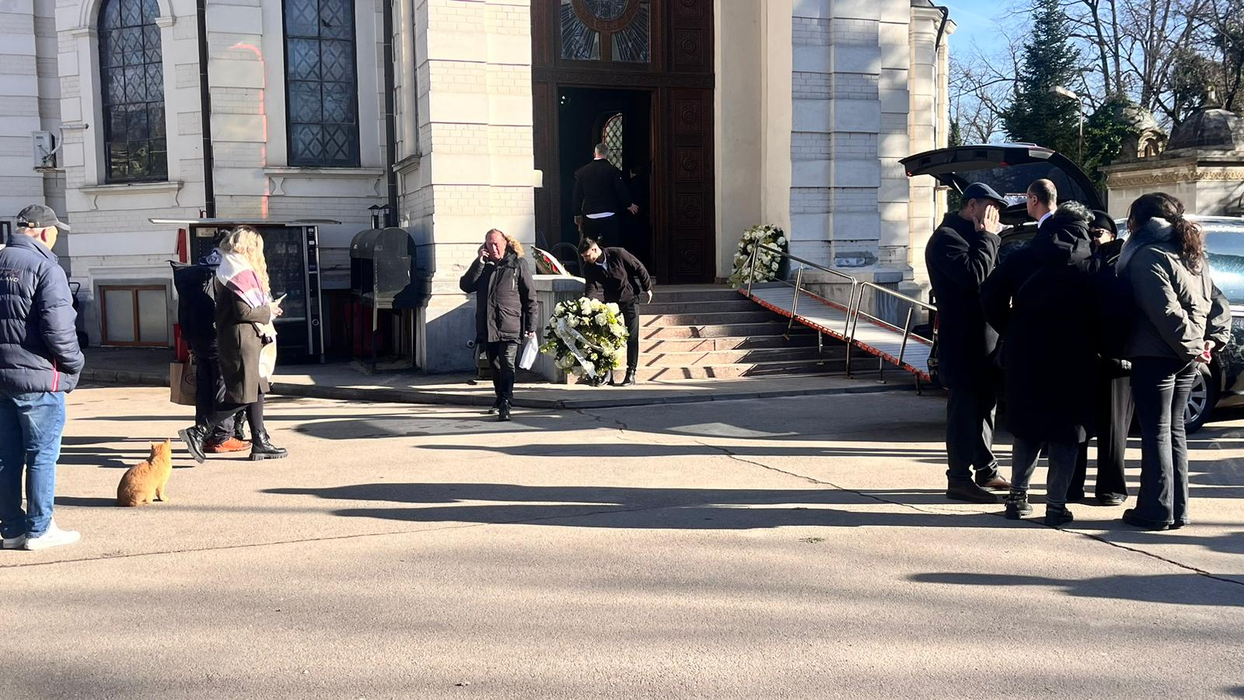 O pisică și-a făcut apariția la înmormântarea tatălui Loredanei Groza. S-a dus „glonț” la dric! Ce simbolizează în tradiția noastră