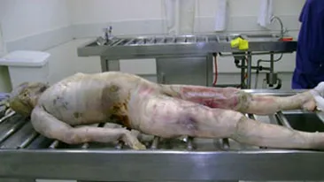 Avocata omorata de sotul ei si data hrana la pesti