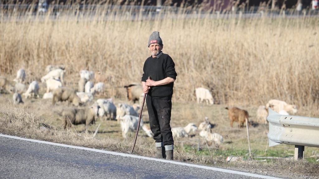 Țăranii din România nu se tem de coronavirus: ”Se stinge cu țuiculiță!”