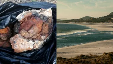 Șoc pentru o familie, după ce fetița lor a adus acasă o piatră de pe plajă. Când și-au dat seama ce era, de fapt, au alertat autoritățile