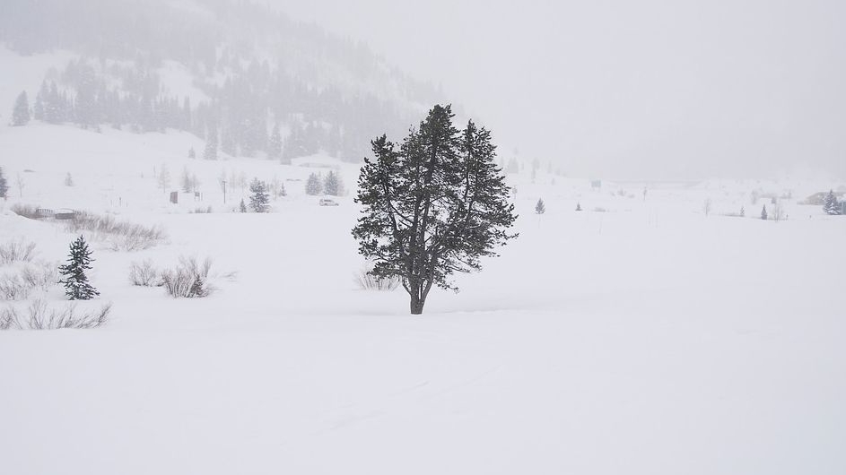Prognoza meteo 27 februarie: Iarna a paralizat țara! Ce spun meteorologii