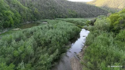 Lacul Cinciș, de nerecunoscut după epoca vacanțelor de 1 Mai. De la sutele de corturi la junglă, insule și locuri interzise