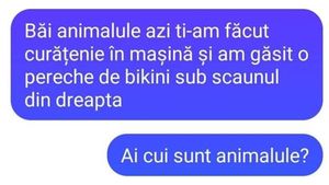 Bancul sfârşitului de săptămână | "Băi, animalule, azi ţi-am făcut curat în maşină"